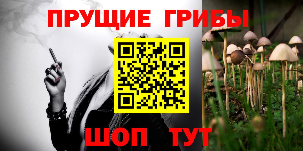 Псилоцибиновые грибы Cubensis Казань